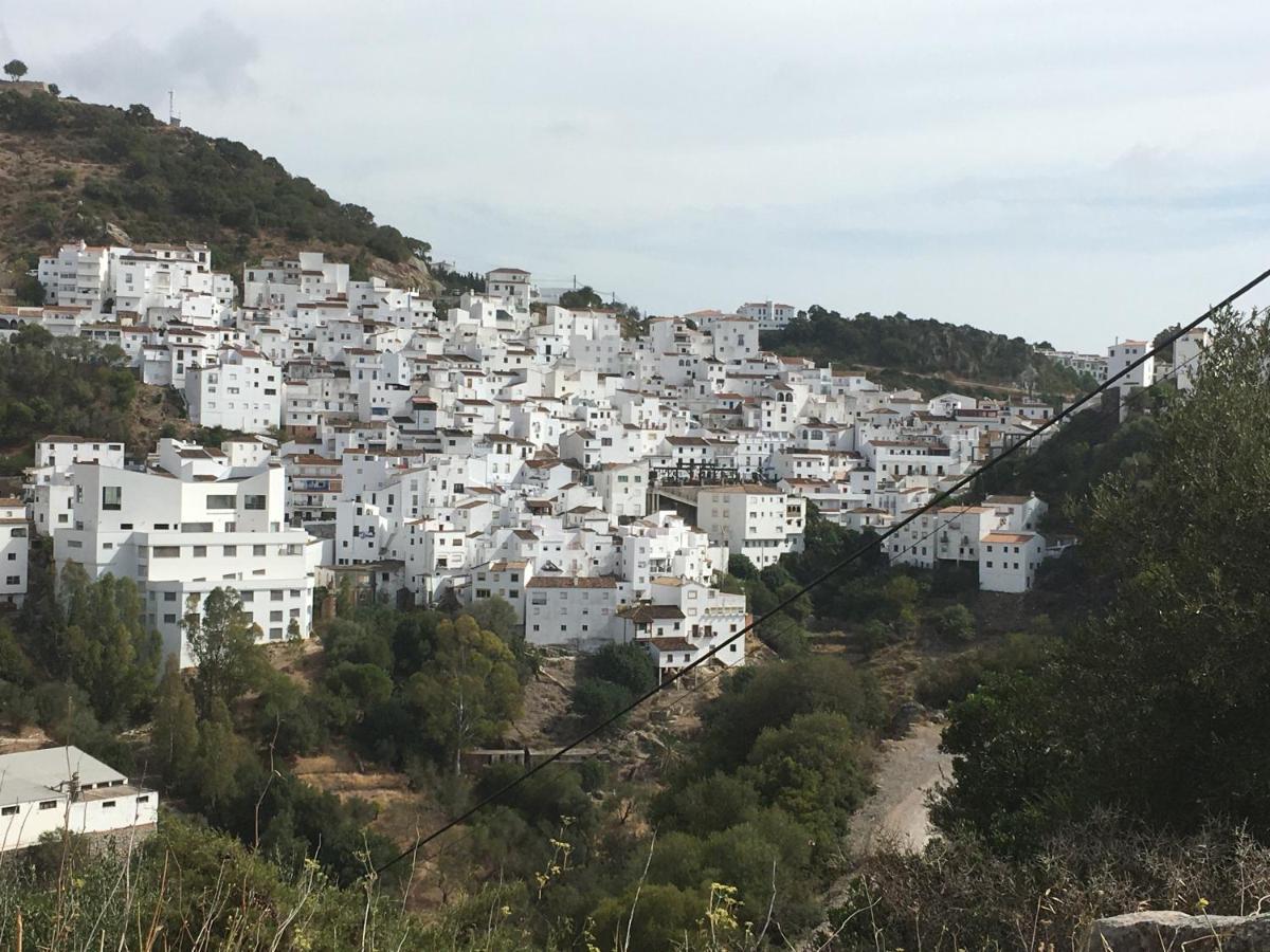 Casares Vacations Apartment Ngoại thất bức ảnh